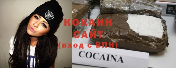 СК Каменск-Шахтинский