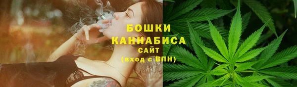 СК Каменск-Шахтинский