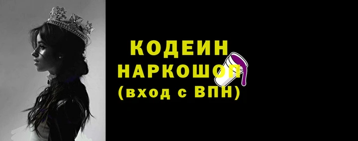 СК Каменск-Шахтинский