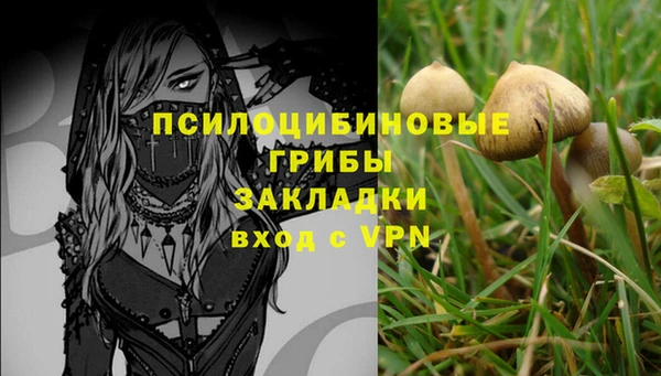 марки nbome Каменка