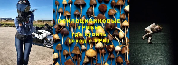 СК Каменногорск