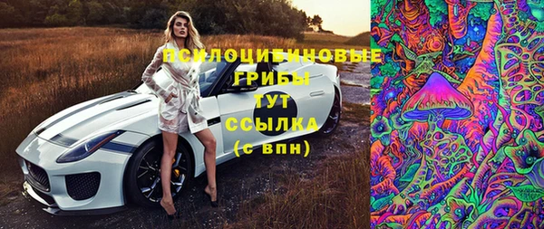 СК Каменск-Шахтинский