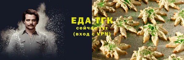 СК Каменск-Шахтинский