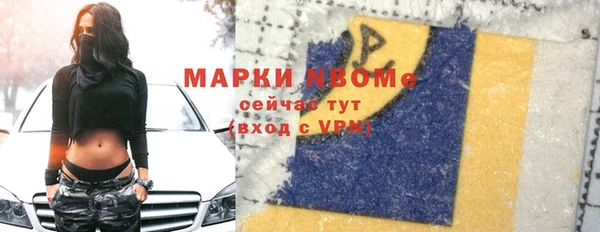 СК Каменногорск