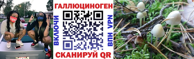 дарнет шоп Суджа Галлюциногенные грибы MAGIC MUSHROOMS